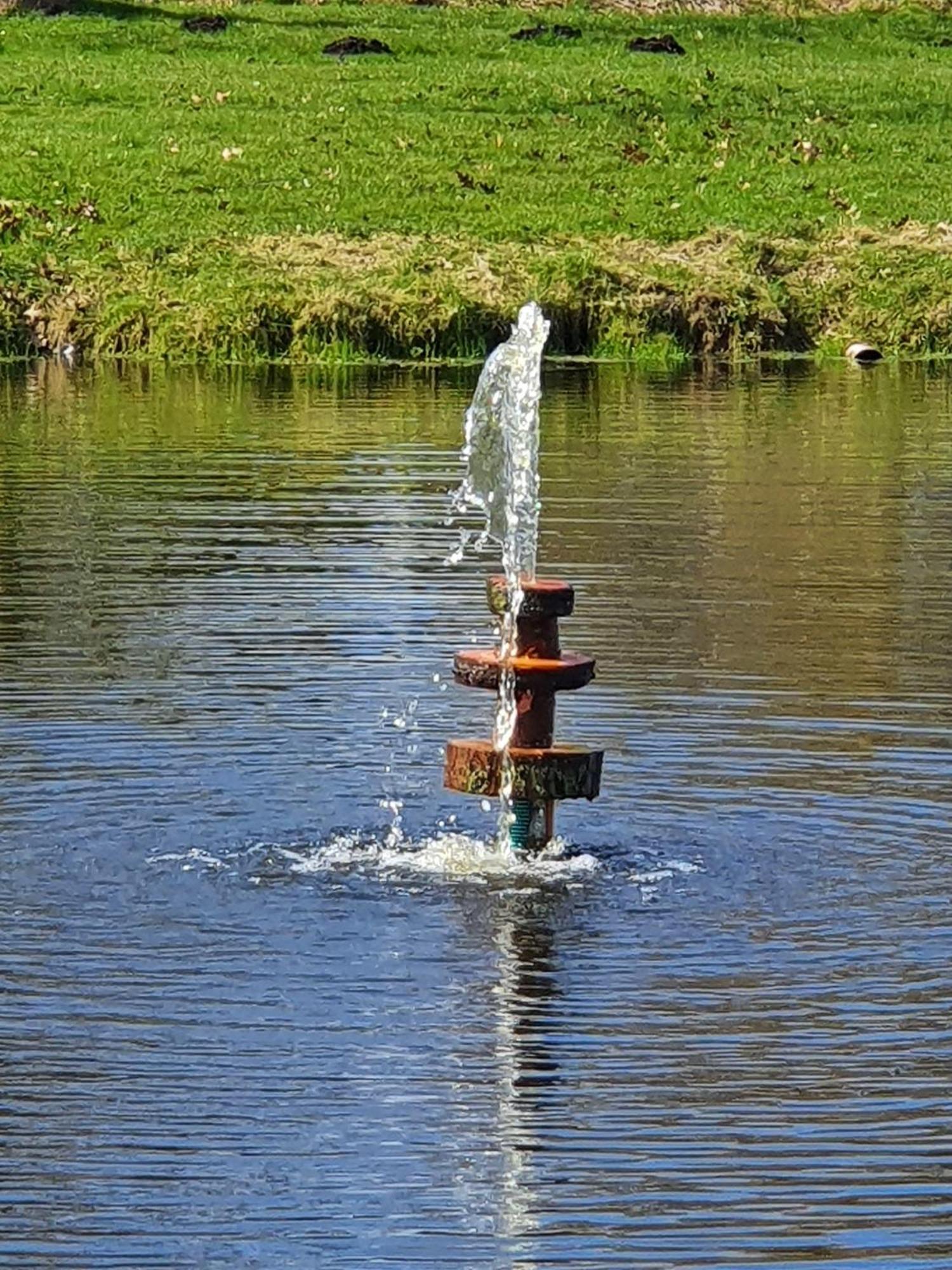 Ferienhaus Idyllisches Blockbohlenhaus Mit Eigenem Garten Und Sauna Zum Wohlfühlen *