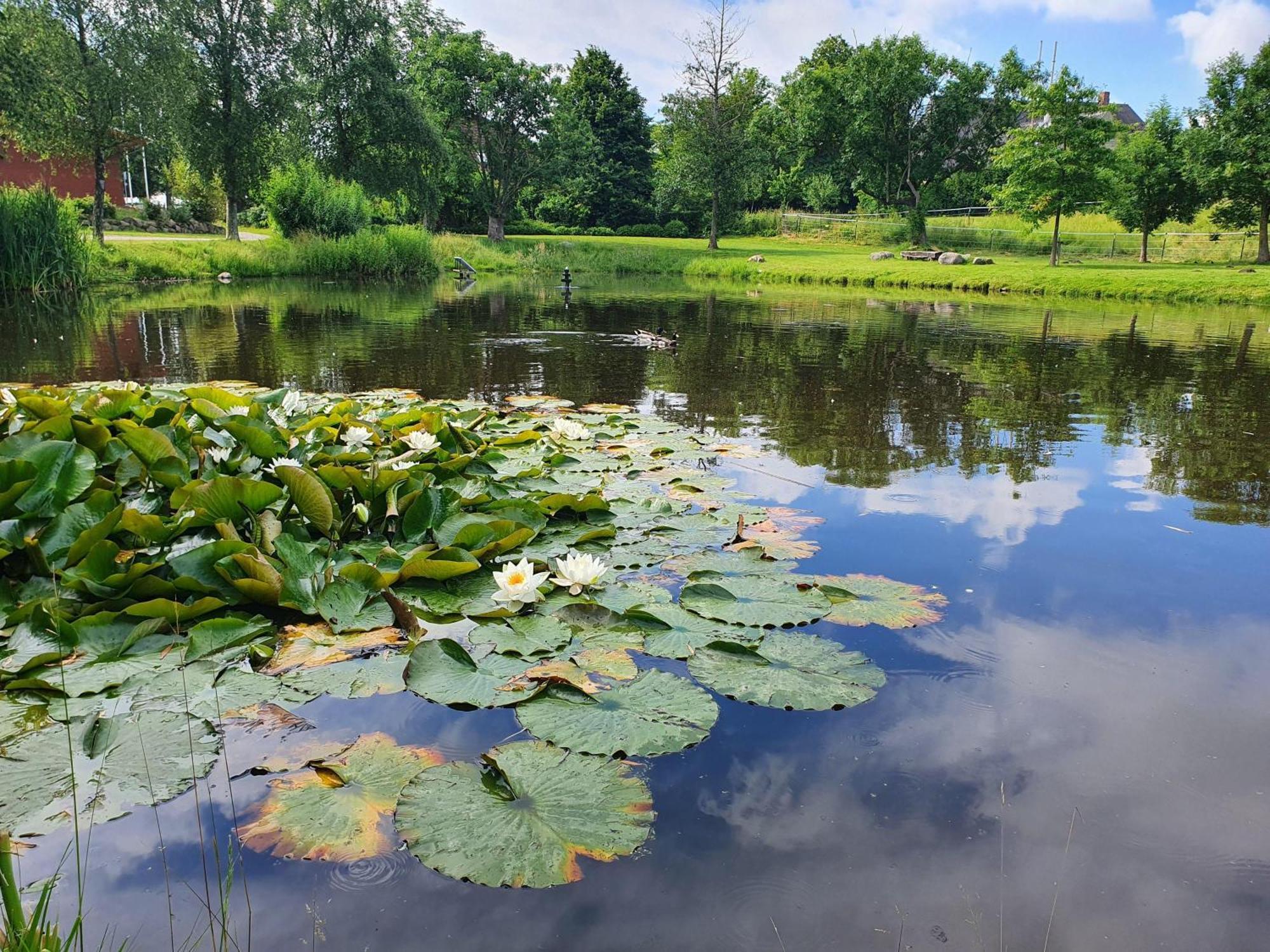 Idyllisches Blockbohlenhaus Mit Eigenem Garten Und Sauna Zum Wohlfühlen Martensrade