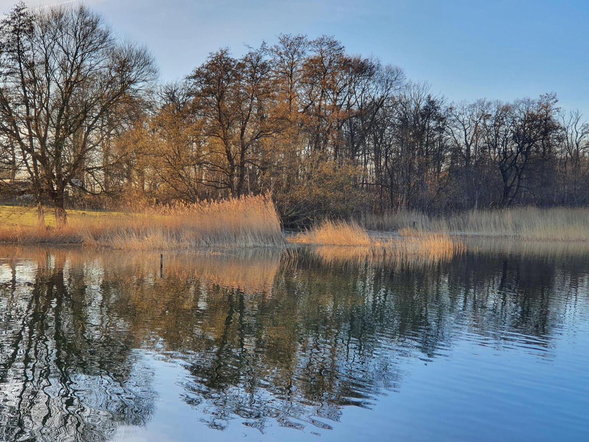Idyllisches Blockbohlenhaus Mit Eigenem Garten Und Sauna Zum Wohlfühlen Ferienhaus